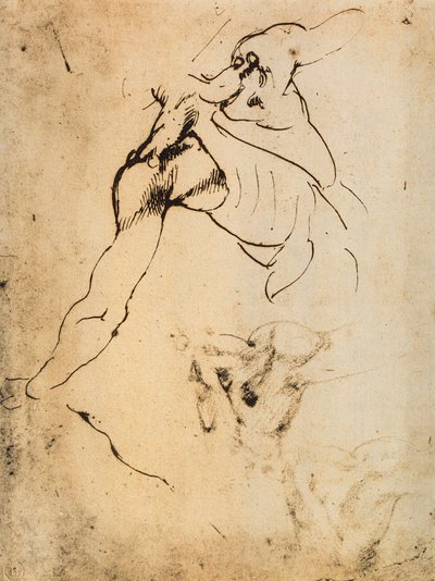 Male Anatomical Study by Michelangelo Buonarroti